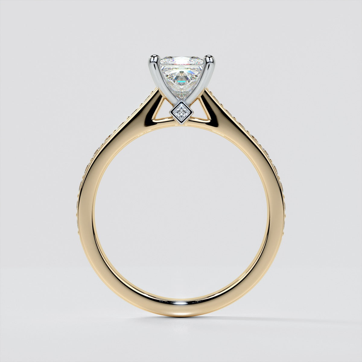Princess Cut Accented Cathedral Engagement Ring