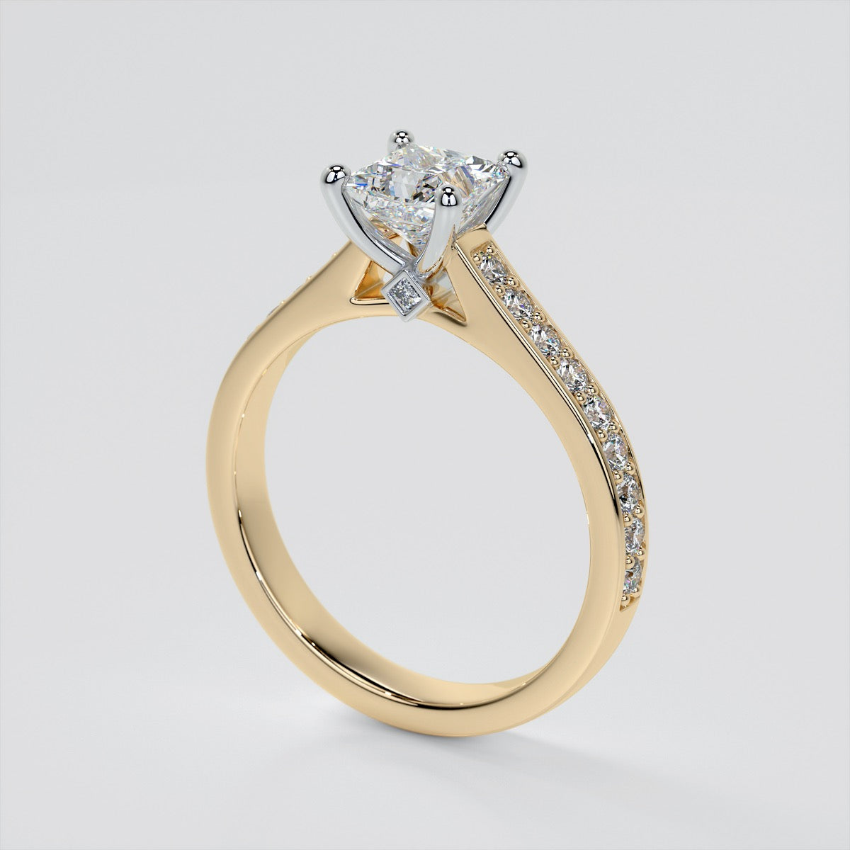 Princess Cut Accented Cathedral Engagement Ring